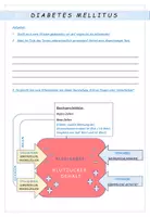 Vorschau - Arbeitsblätter - Biologie: Diabetes - Seite 3