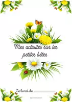 Aperçu - Préparation de séance / Séance complète - Activités sur les insectes et petites bêtes - Page de couverture