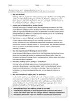 Vorschau - Arbeitsblätter - AB mit Fragen zum Thema "Nützlinge" + Lösungsblatt + Infografik - Seite 2