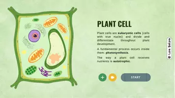 Vista previa - Presentaciones - PLANT CELL - INTERACTIVE LESSON. - página 3