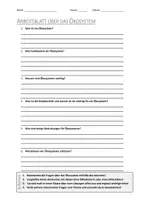 Vorschau - Arbeitsblätter - Lernposter + AB mit Fragen zum Thema "Ökosystem" + Lösungsblatt + Infografik - Seite 1