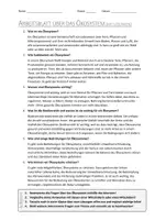 Vorschau - Arbeitsblätter - Lernposter + AB mit Fragen zum Thema "Ökosystem" + Lösungsblatt + Infografik - Seite 3