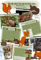 Vorschau - Text - Eichhörnchen Wissenskartei - Deckblatt