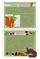 Vorschau - Text - Eichhörnchen Wissenskartei - Seite 3
