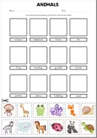 Vista previa - Hojas de trabajo - Growing Bundle 'Animals' - página 2