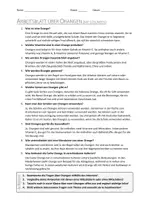 Vorschau - Arbeitsblätter - AB mit Fragen zum Thema "Orangen" + Lösungsblatt + Infografik - Seite 2