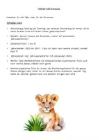 Vorschau - Anderer Materialtyp - Kalender und Wetter - Safariklasse - Zooklasse - Seite 2