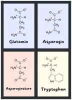 Vorschau - Bildkarten - Flashcards Aminosäuren (farbcodiert) - Deckblatt