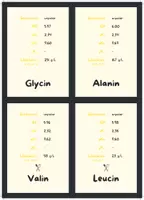 Vorschau - Bildkarten - Flashcards Aminosäuren (farbcodiert) (ohne Namen) - Seite 2