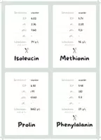 Vorschau - Bildkarten - Flashcards Aminosäuren - Seite 3
