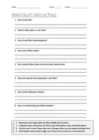 Vorschau - Arbeitsblätter - AB mit Fragen zum Thema "Pfalz" + Lösungsblatt - Deckblatt