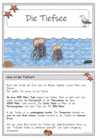Vorschau - Stundenentwürfe - Die Tiefsee: Wissenskartei und Lapbook - Seite 2