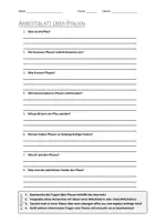 Vorschau - Arbeitsblätter - AB mit Fragen zum Thema "Pfau" + Lösungsblatt - Deckblatt