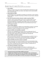 Vorschau - Arbeitsblätter - AB mit Fragen zum Thema "Pfeffer" + Lösungsblatt + Infografik - Seite 2