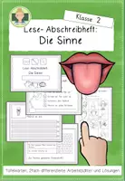 Vorschau - Arbeitsblätter - Lesen und abschreiben: Die Sinne (Differenzierung Deutsch Grundschule Klasse 1-2) - Deckblatt