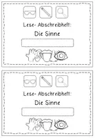 Vorschau - Arbeitsblätter - Lesen und abschreiben: Die Sinne (Differenzierung Deutsch Grundschule Klasse 1-2) - Seite 2