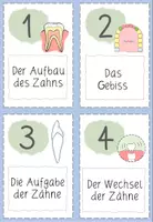 Vorschau - Stationenlernen - Stationenlernen: Die Zähne (Sachunterricht Klasse 1/2) - Seite 2