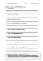 Vorschau - Arbeitsblätter - Lernposter + AB mit Fragen zum Thema "Pfingsten" + Lösungsblatt + Mindmap + Infografik - Seite 1