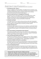 Vorschau - Arbeitsblätter - Lernposter + AB mit Fragen zum Thema "Pharao" + Lösungsblatt + Infografik - Seite 3