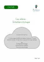 Aperçu - Apprentissages en autonomie - Kit pédagogique Culture Montessori : L'ARBRE - Page 3