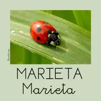Vista previa - Tarjetas / Manipulativos - Targetes de vocabulari PRIMAVERA - página 2