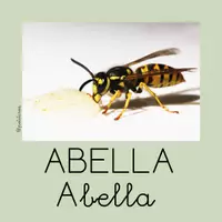 Vista previa - Tarjetas / Manipulativos - Targetes de vocabulari PRIMAVERA - página 3