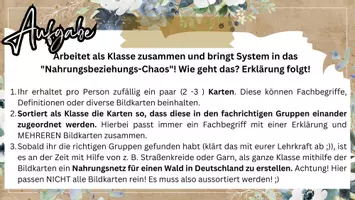 Vorschau - Spiele - Ökologie Sek 1: Nahrungsnetze Karten (Schulhofspiel) - Seite 1
