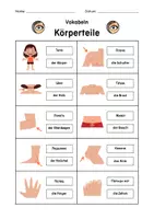 Vorschau - Fördermaterial/Inklusion - Vokabeln (deutsch/russisch) - Körperteile - Seite 2