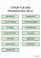 Vorschau - Poster - Teile der pflanzlichen Zelle - Manipulatives Poster. - Seite 2