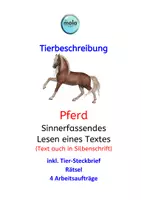 Vorschau - Stundenentwürfe - Tierbeschreibung-5er-Box 7 (Elefant, Löwe, Katze, Hund, Pferd) - Seite 1