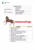 Vorschau - Stundenentwürfe - Tierbeschreibung-5er-Box 7 (Elefant, Löwe, Katze, Hund, Pferd) - Seite 3