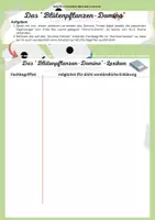 Vorschau - Arbeitsblätter - Blütenpflanzen Domino (Biologie Sek 1) - Seite 3