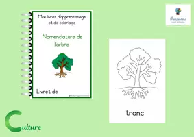 Aperçu - Apprentissages en autonomie - Kit pédagogique Culture Montessori : L'ARBRE - Page 2