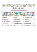 Aperçu - Jeux - Kit pédagogique la nouvelle classification des animaux - Page 1