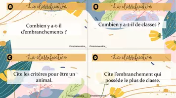 Aperçu - Feuilles d'exercices - CAT classification des animaux - Page 1