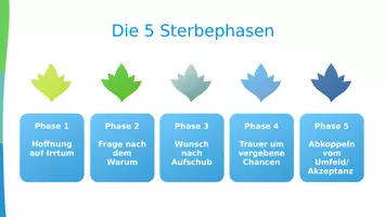 Vorschau - Präsentationen/Tafelbilder - Sterbeprozess und Sterbebegleitung - Seite 3