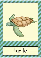 Vorschau - Bildkarten - Sea animals: flash cards // Bild- und Wortkarten (Englisch) - Seite 2