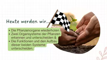 Vorschau - Arbeitsblätter - Stundenmaterial "Pflanzensysteme" Biologie Klasse 5 - Seite 2