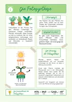 Vorschau - Merkblätter - Merkblatt Fotosynthese (Biologie Sek1) - Seite 1