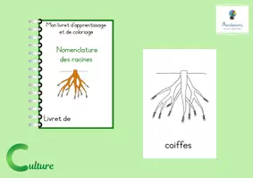 Aperçu - Matériel pour travaux manuels / dessin - Livret d'apprentissage et coloriage des racines - Page de couverture