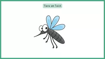 Vorschau - Stationenlernen - Interaktive: Mathe 2.Klasse, fit für die 3.Klasse im Sommer Wiederholung - Seite 2
