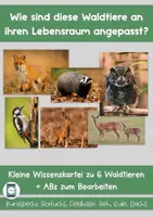 Vorschau - Stundenentwürfe - Materialpaket WALD - Seite 1