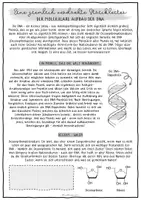 Vorschau - Arbeitsblätter - Aufbau der DNA - Genetik in der Oberstufe - Seite 1