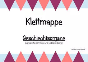 Vorschau - Spiele - Klettmappe Geschlechtsorgane - Deckblatt