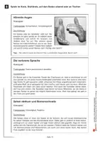 Vorschau - Spiele - Spiele im Kreis, Stuhlkreis, auf dem Boden sitzend oder am Tisch | Vorschule Förderschule Grundschule Klasse 1-4 | Klassenspiele, Pausenspiele, Feste, Sporttage, Schulfeste - Seite 3