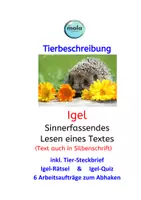 Vorschau - Stundenentwürfe - Herbst -XL-Box Unterricht leicht gemacht 🍂 – mit 8 fix & fertigen Materialien - Seite 3
