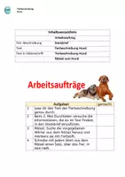 Vorschau - Arbeitsblätter - Tierbeschreibung: HUND (Info, Rätsel, Quiz, Steckbrief) - Seite 2