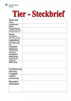 Vorschau - Unterrichtsreihen - Tierbeschreibung: Hamster (Infotext mit 5 Arbeitsaufträge) - Seite 3