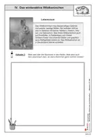 Vorschau - Arbeitsblätter - Das winteraktive Wildkaninchen | Sachunterricht Biologie Grundschule Sekundarstufe Klasse 3-6 | Lebensraum, Aussehen, Nahrung, Fortpflanzung | Arbeitsblätter, Kopiervorlagen, Freiarbeit mit Lösungen - Seite 1