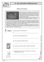 Vorschau - Arbeitsblätter - Das winteraktive Wildkaninchen | Sachunterricht Biologie Grundschule Sekundarstufe Klasse 3-6 | Lebensraum, Aussehen, Nahrung, Fortpflanzung | Arbeitsblätter, Kopiervorlagen, Freiarbeit mit Lösungen - Seite 2